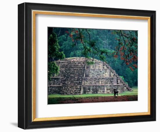 Royal Tomb, Maya, Copan, Honduras-Kenneth Garrett-Framed Photographic Print