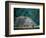 Royal Tomb, Maya, Copan, Honduras-Kenneth Garrett-Framed Photographic Print