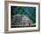 Royal Tomb, Maya, Copan, Honduras-Kenneth Garrett-Framed Photographic Print