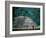 Royal Tomb, Maya, Copan, Honduras-Kenneth Garrett-Framed Photographic Print