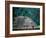 Royal Tomb, Maya, Copan, Honduras-Kenneth Garrett-Framed Photographic Print