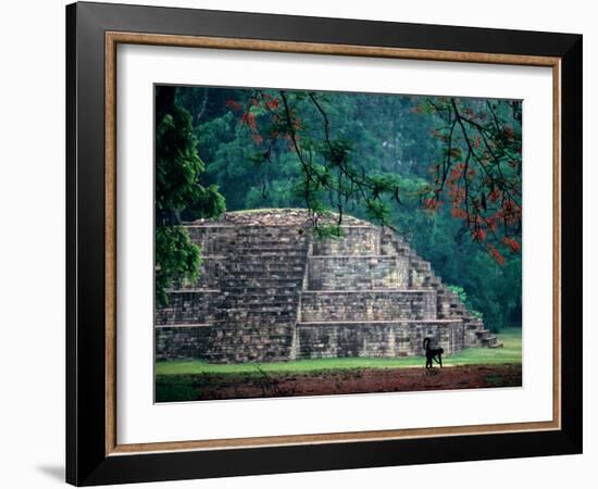 Royal Tomb, Maya, Copan, Honduras-Kenneth Garrett-Framed Photographic Print