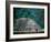 Royal Tomb, Maya, Copan, Honduras-Kenneth Garrett-Framed Photographic Print