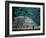 Royal Tomb, Maya, Copan, Honduras-Kenneth Garrett-Framed Photographic Print