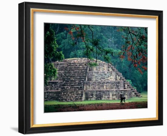 Royal Tomb, Maya, Copan, Honduras-Kenneth Garrett-Framed Photographic Print