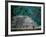 Royal Tomb, Maya, Copan, Honduras-Kenneth Garrett-Framed Photographic Print