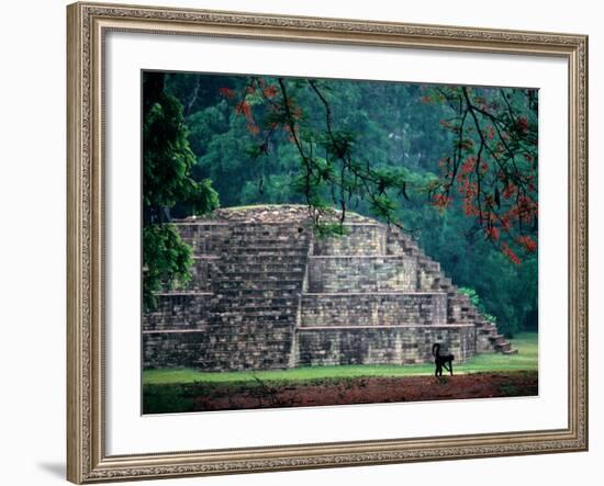 Royal Tomb, Maya, Copan, Honduras-Kenneth Garrett-Framed Photographic Print