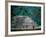 Royal Tomb, Maya, Copan, Honduras-Kenneth Garrett-Framed Photographic Print