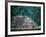 Royal Tomb, Maya, Copan, Honduras-Kenneth Garrett-Framed Photographic Print