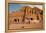 Royal Tombs at Ancient Nabatean City of Petra, Wadi Musa, Ma'an Governorate, Jordan-null-Framed Premier Image Canvas