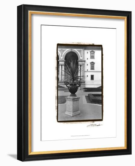 Royal Urn II-Laura Denardo-Framed Art Print