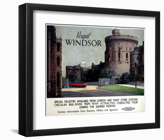 Royal Winsor-null-Framed Art Print