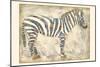 Royal Zebra-Chariklia Zarris-Mounted Art Print