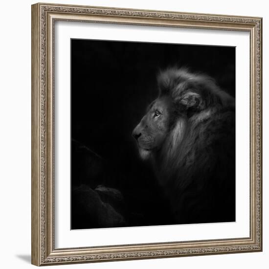 Royalty-Ruud Peters-Framed Photographic Print