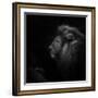Royalty-Ruud Peters-Framed Photographic Print