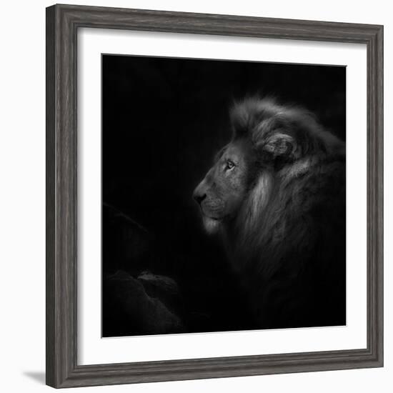 Royalty-Ruud Peters-Framed Photographic Print