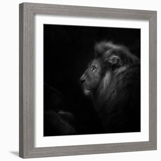 Royalty-Ruud Peters-Framed Photographic Print