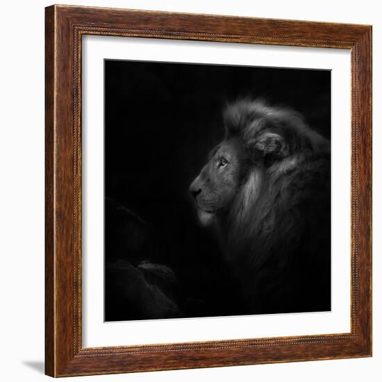 Royalty-Ruud Peters-Framed Photographic Print