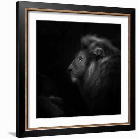 Royalty-Ruud Peters-Framed Photographic Print