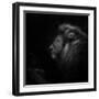 Royalty-Ruud Peters-Framed Photographic Print