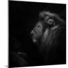 Royalty-Ruud Peters-Mounted Photographic Print