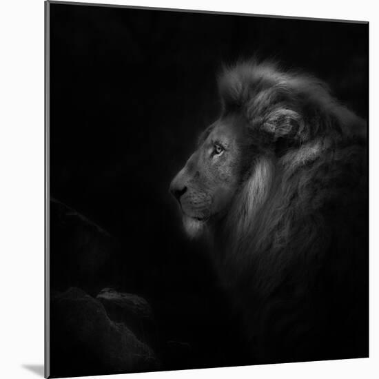 Royalty-Ruud Peters-Mounted Photographic Print