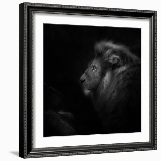 Royalty-Ruud Peters-Framed Photographic Print