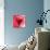 RR Heart 7-Robbin Rawlings-Premium Giclee Print displayed on a wall