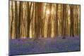 Premium Photographic Print