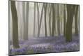 Premium Photographic Print