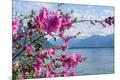 Premium Photographic Print