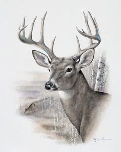 Ruane Manning Wild Animals Art: Prints, Paintings, Posters & Wall Art