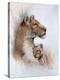 Stretched Canvas Print
