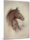 Premium Giclee Print