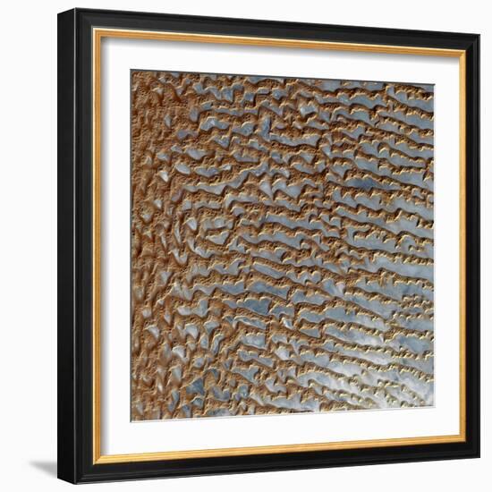 Rub' Al Khali, Arabia-Stocktrek Images-Framed Photographic Print