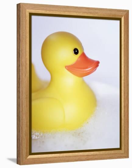 Rubber Duck-Lawrence Lawry-Framed Premier Image Canvas