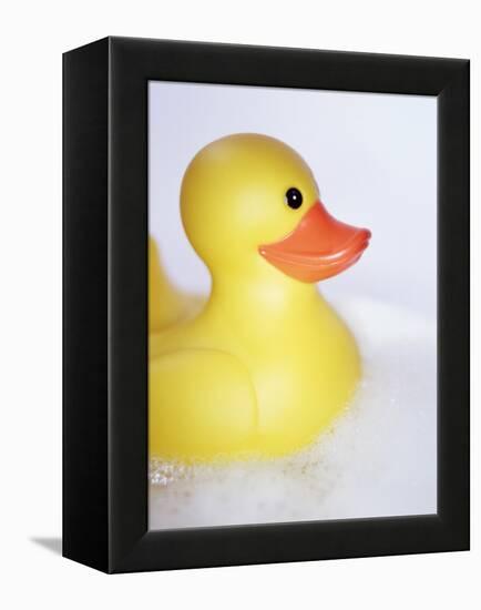 Rubber Duck-Lawrence Lawry-Framed Premier Image Canvas