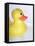 Rubber Duck-Lawrence Lawry-Framed Premier Image Canvas