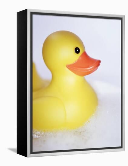 Rubber Duck-Lawrence Lawry-Framed Premier Image Canvas