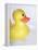 Rubber Duck-Lawrence Lawry-Framed Premier Image Canvas