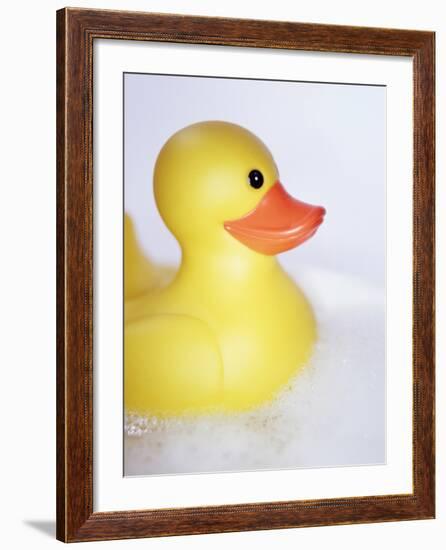 Rubber Duck-Lawrence Lawry-Framed Photographic Print