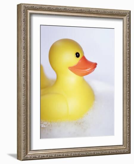 Rubber Duck-Lawrence Lawry-Framed Photographic Print