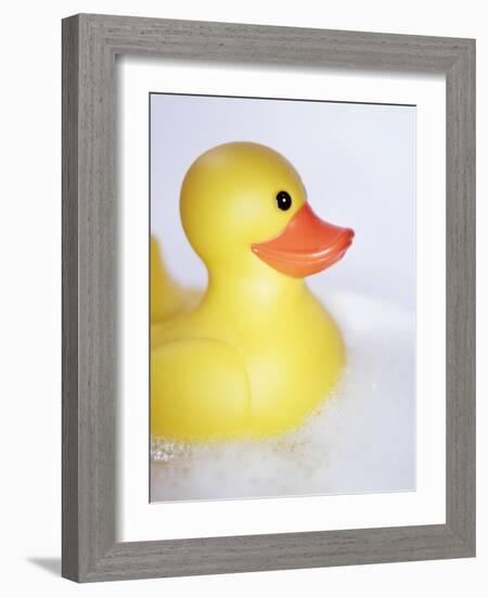 Rubber Duck-Lawrence Lawry-Framed Photographic Print