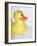 Rubber Duck-Lawrence Lawry-Framed Photographic Print