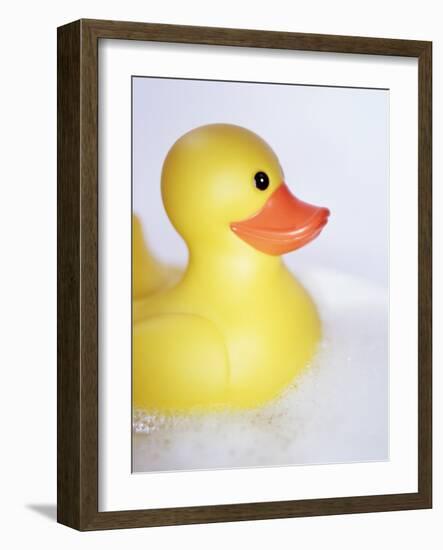 Rubber Duck-Lawrence Lawry-Framed Photographic Print