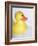 Rubber Duck-Lawrence Lawry-Framed Photographic Print