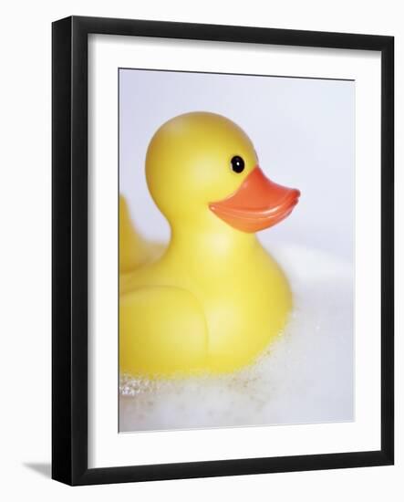 Rubber Duck-Lawrence Lawry-Framed Photographic Print