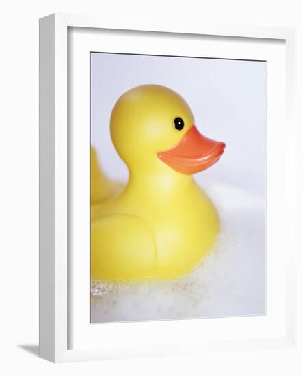 Rubber Duck-Lawrence Lawry-Framed Photographic Print