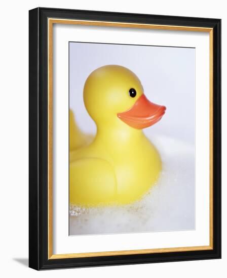 Rubber Duck-Lawrence Lawry-Framed Photographic Print
