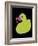 Rubber Duck-Whoartnow-Framed Giclee Print